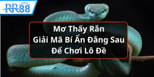 mơ thấy rắn