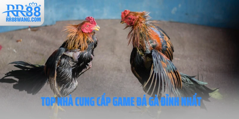 Top nhà cung cấp game đá gà đỉnh nhất 